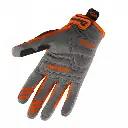 Screenshot 2025-01-08 at 15-37-57 GANTS PERFORMANCE ORANGE.webp