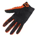 Screenshot 2025-01-10 at 14-50-39 GANTS TITANIUM ORANGE.webp