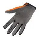 Screenshot 2025-01-10 at 15-11-46 GANTS UP ORANGE.webp