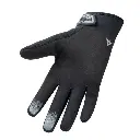 Screenshot 2025-01-10 at 16-07-52 GANTS STORM.webp