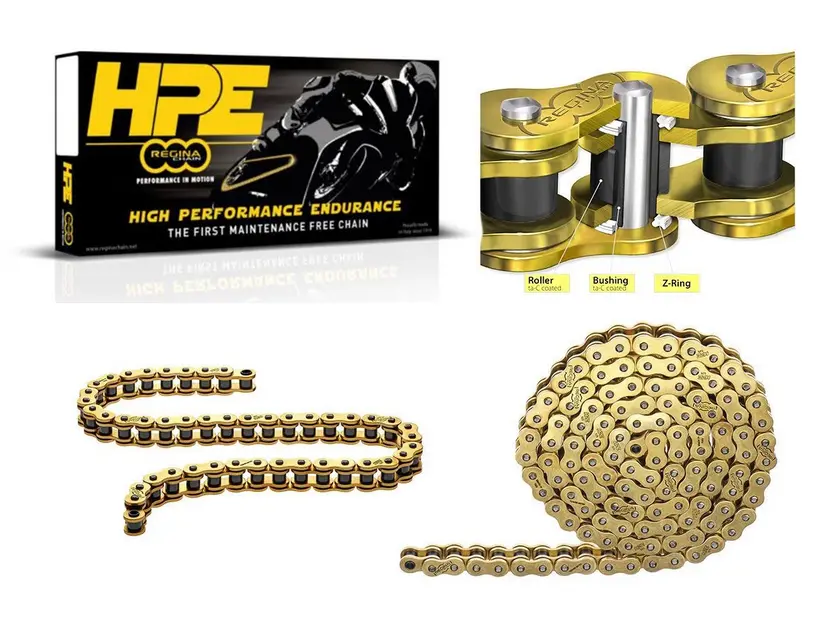 Screenshot 2025-10-25 at 10-36-23 Chaîne Regina 520 HPE Sans entretien.webp